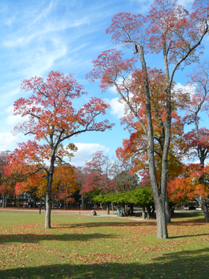 b0019820_18245152.jpg