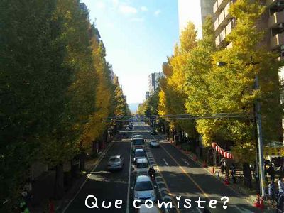f0194020_22351658.jpg
