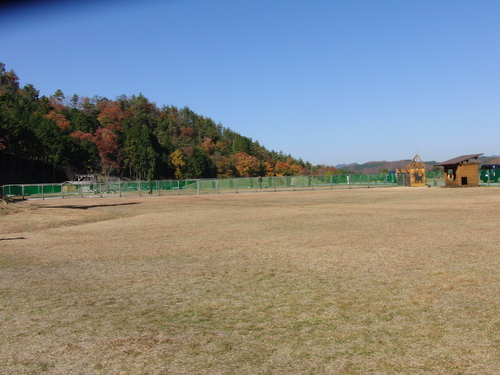 e0179321_2227769.jpg