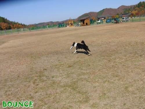 e0179321_22323799.jpg
