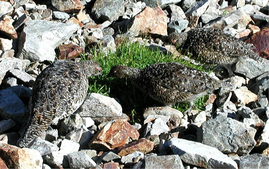 f0181821_1695140.jpg