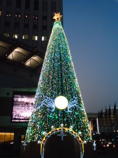 a0105023_20561242.jpg