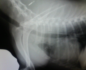 b0066826_1272049.jpg