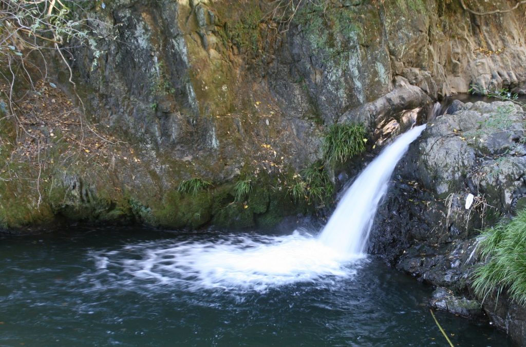 e0033229_21432230.jpg