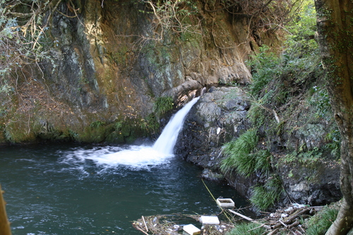 e0033229_21493493.jpg