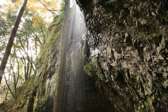 f0017530_2026343.jpg