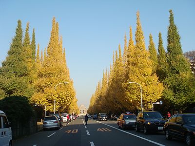 f0045530_89194.jpg