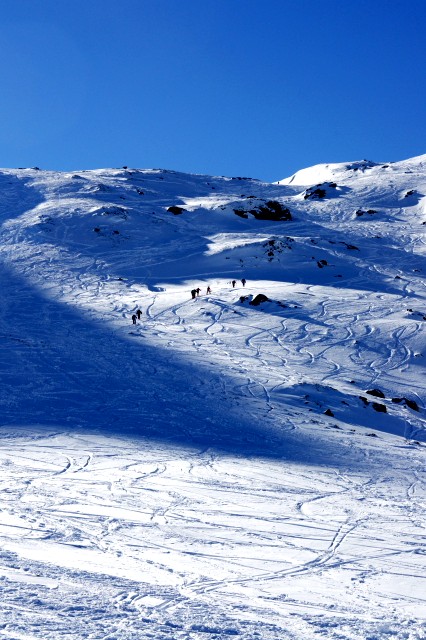a0119132_1603864.jpg