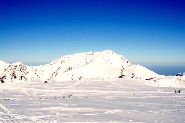 a0119132_16152546.jpg