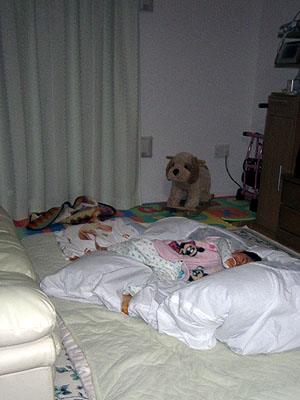 f0224732_0253141.jpg