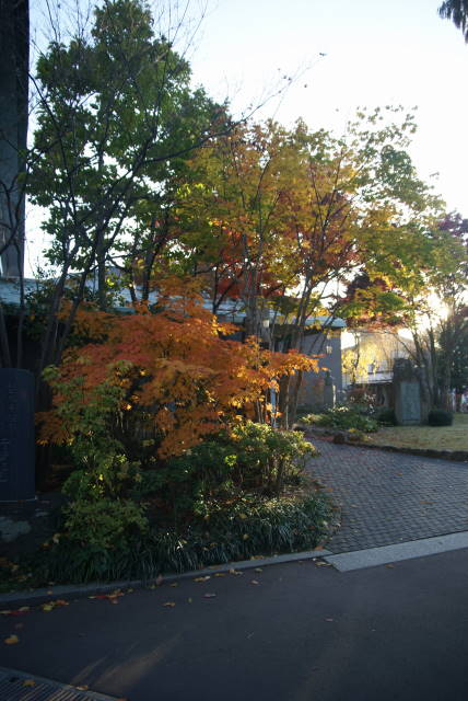 b0117437_1522331.jpg