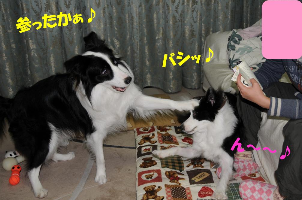 c0147241_13011100.jpg