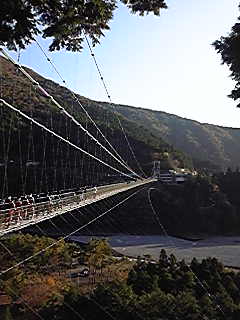 f0154041_1116282.jpg