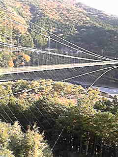 f0154041_1117320.jpg
