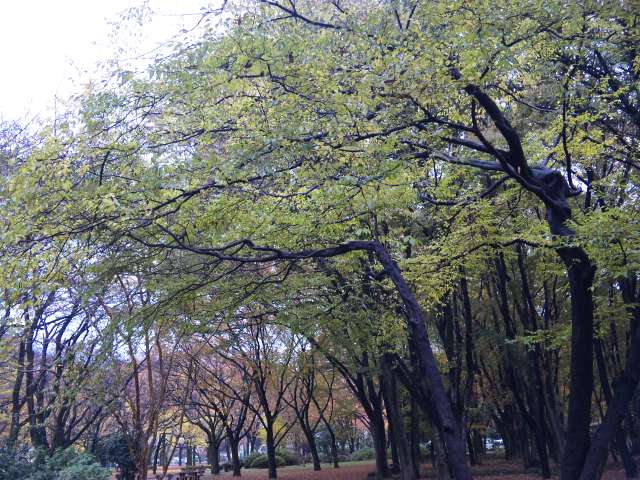 e0206242_15415844.jpg