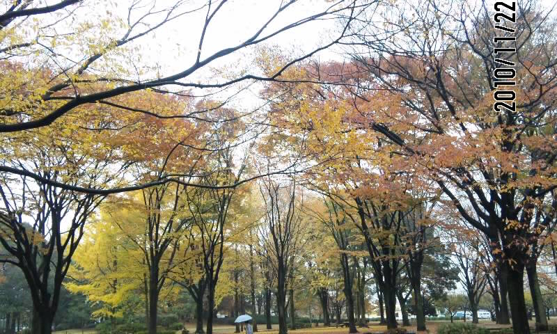 e0206242_15492263.jpg