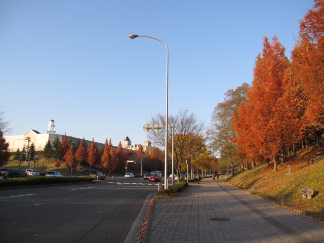 d0166343_10544545.jpg