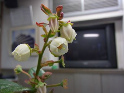 d0022845_2159029.jpg