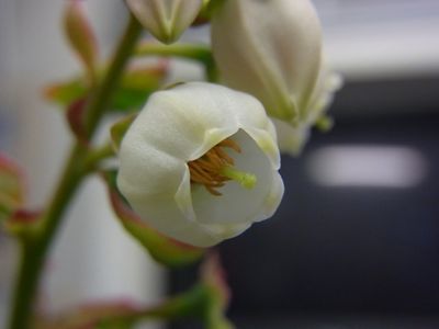 d0022845_21595964.jpg