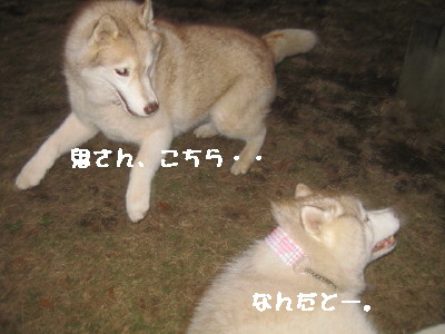 e0121548_22112025.jpg