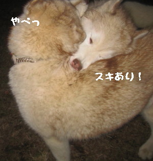 e0121548_22152242.jpg