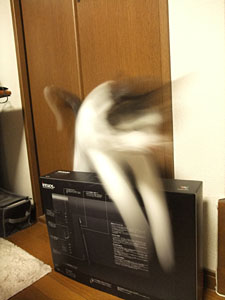 d0034352_21295266.jpg