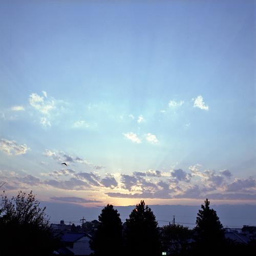f0176353_17503363.jpg
