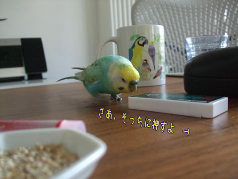 f0149057_0465758.jpg
