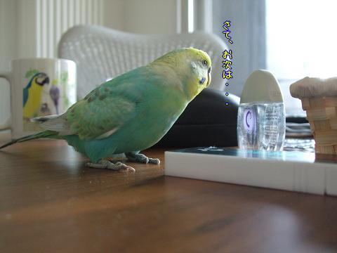 f0149057_0465878.jpg