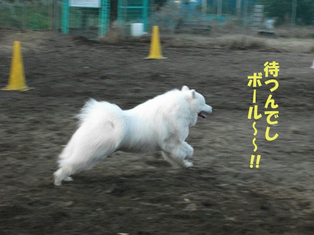 e0176159_13315245.jpg