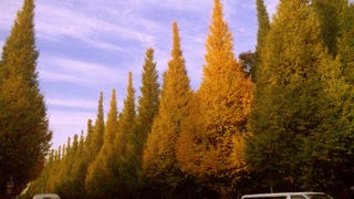 b0145861_18482821.jpg