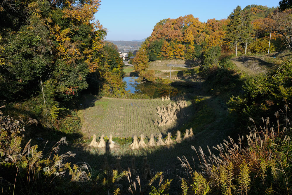 a0111162_22204056.jpg