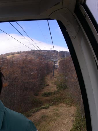 e0118274_2191373.jpg
