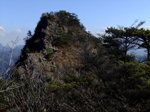 f0054075_170078.jpg