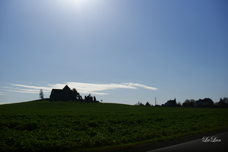 d0141376_20483919.jpg