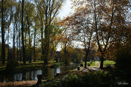 d0141376_20491757.jpg