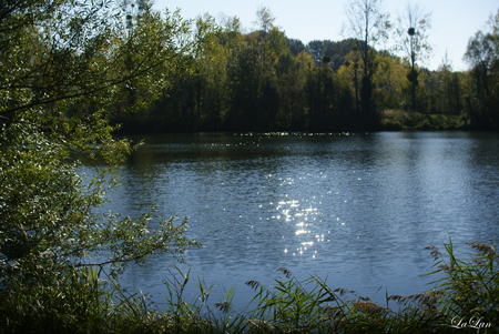d0141376_20503625.jpg
