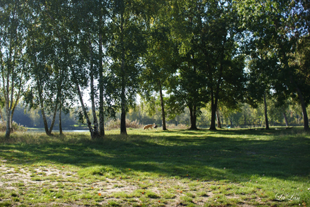 d0141376_20551087.jpg