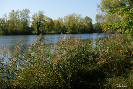 d0141376_20555211.jpg