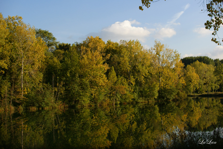 d0141376_20565187.jpg