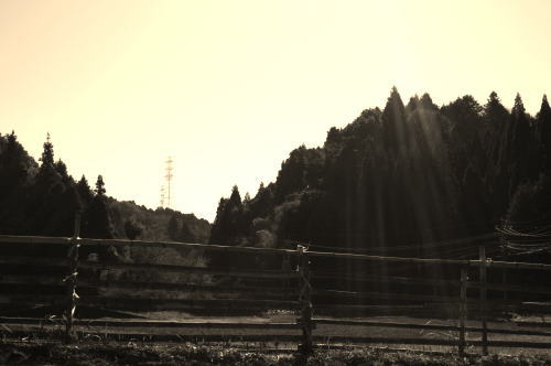 f0047576_14115119.jpg