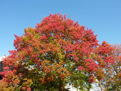 e0207477_15201090.jpg