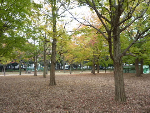 e0207477_1527363.jpg