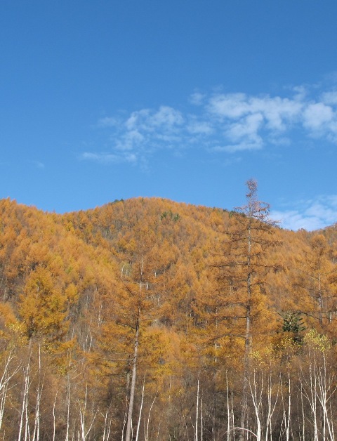 a0091680_1451395.jpg
