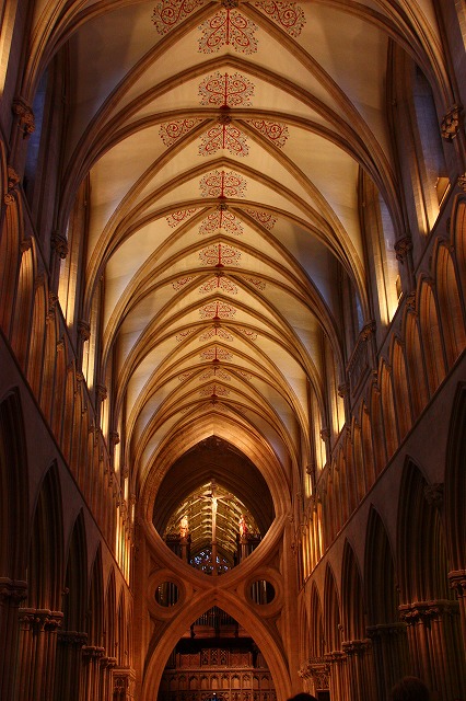 a0107981_8474696.jpg