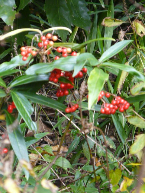 e0145782_17185673.jpg