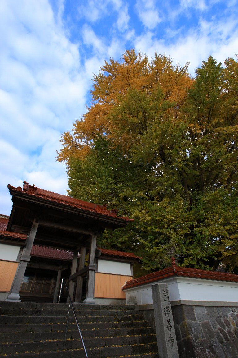 a0076683_18343147.jpg