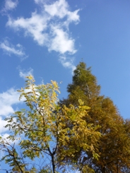 a0152785_16659100.jpg