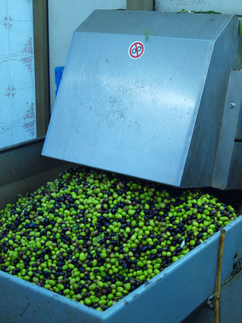 c0179785_732392.jpg