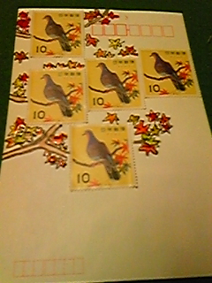 f0192686_22315962.jpg